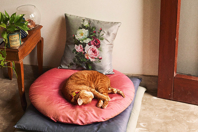 Estudio Life at Home: ¿Qué necesitan las personas para ser felices?