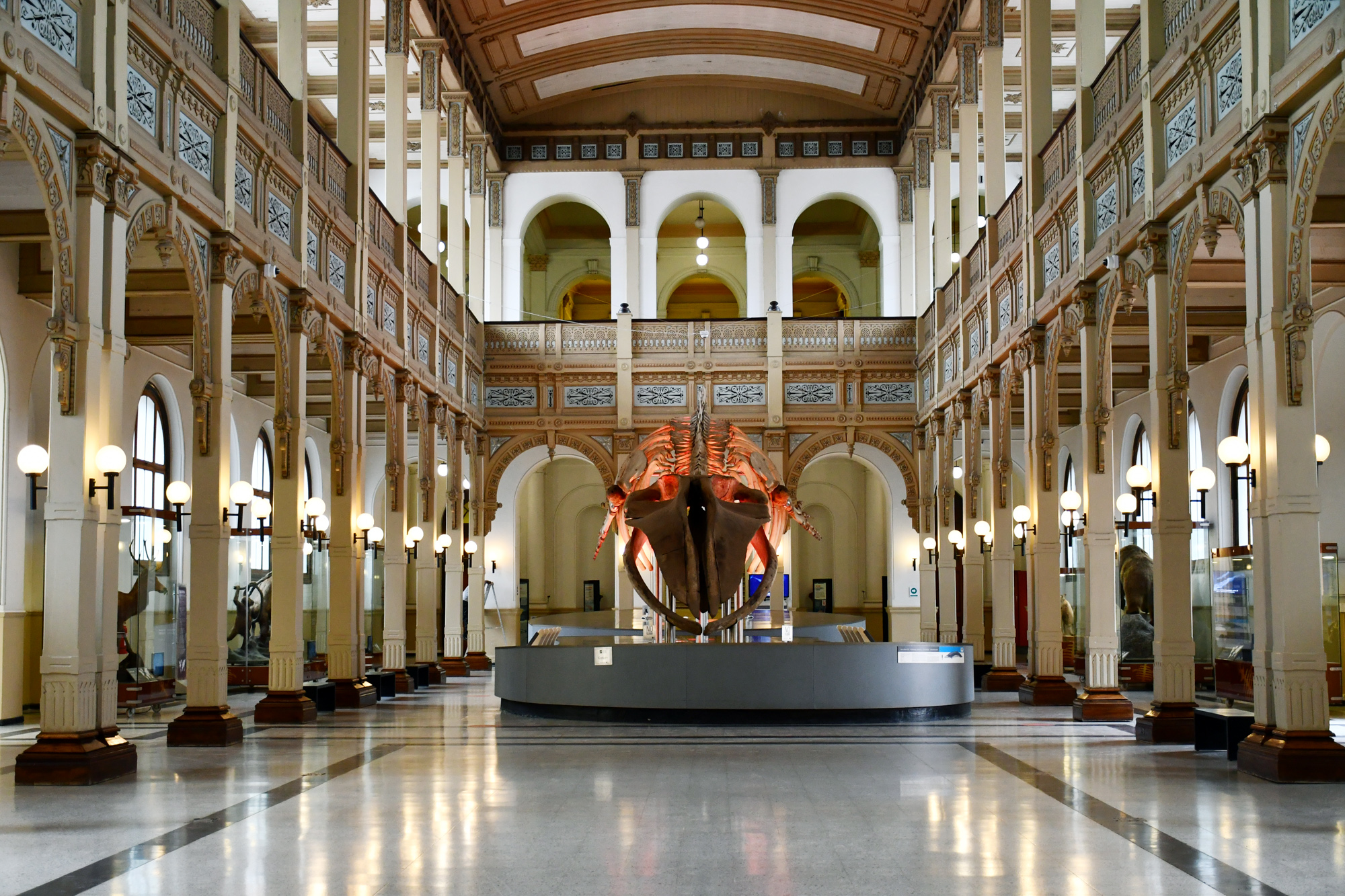 Misión | Museo Nacional de Historia Natural