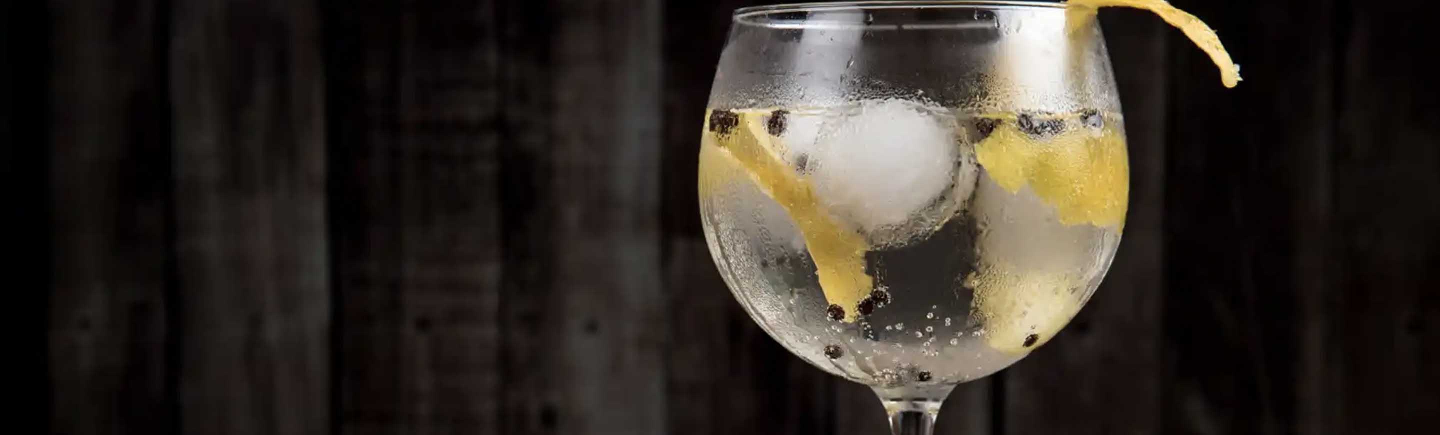 La Noche del Gin Chileno: Destilerías exclusivas al alcance de tu copa