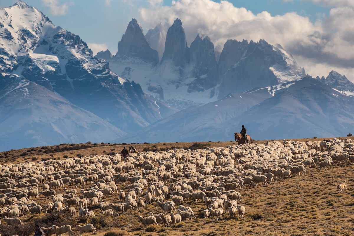 Timothy Dhalleine gana el principal premio de cultura del Patagonia Photo Contest con una impactante postal de la Patagonia chilena