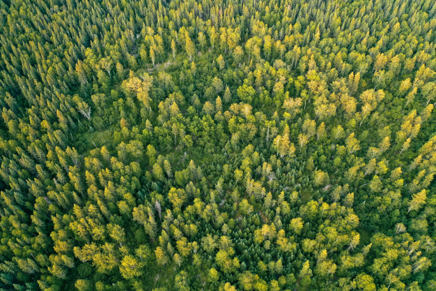 Glovox refuerza su compromiso con el medioambiente
