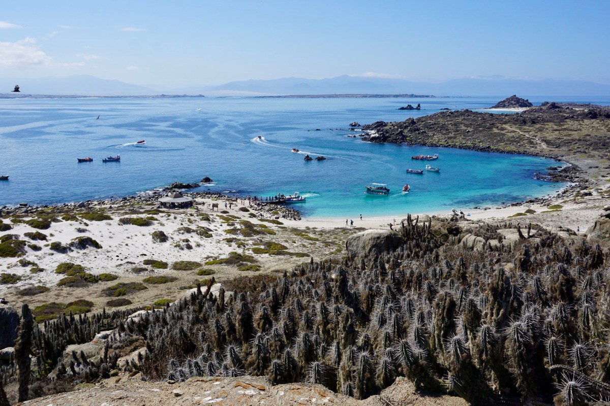 Reserva Nacional Pingüino de Humboldt, un lugar que tenemos que salvar.