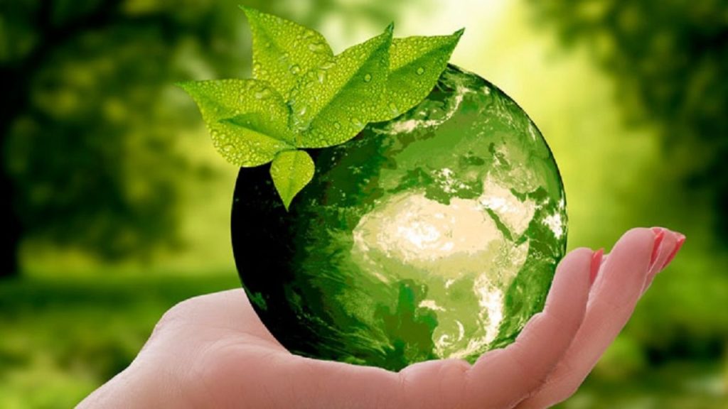 Green Bond Meter: La criptomoneda amiga del medio ambiente.