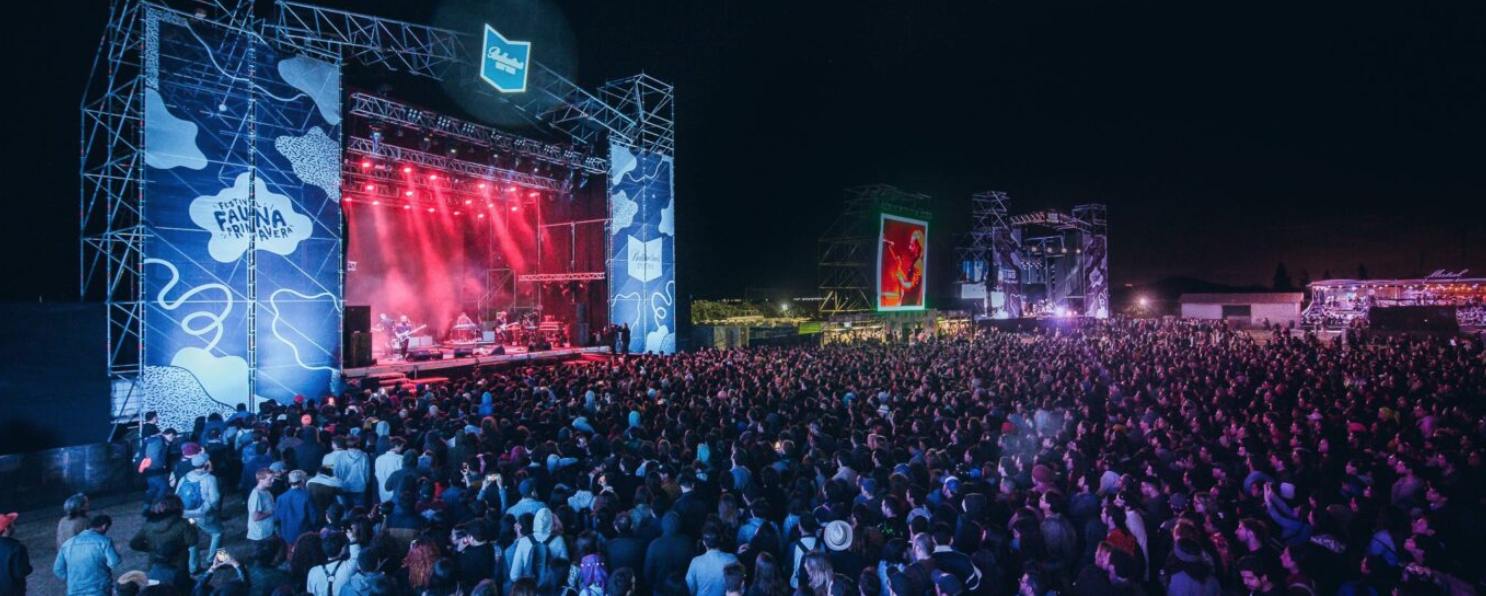 10 años de Fauna Primavera