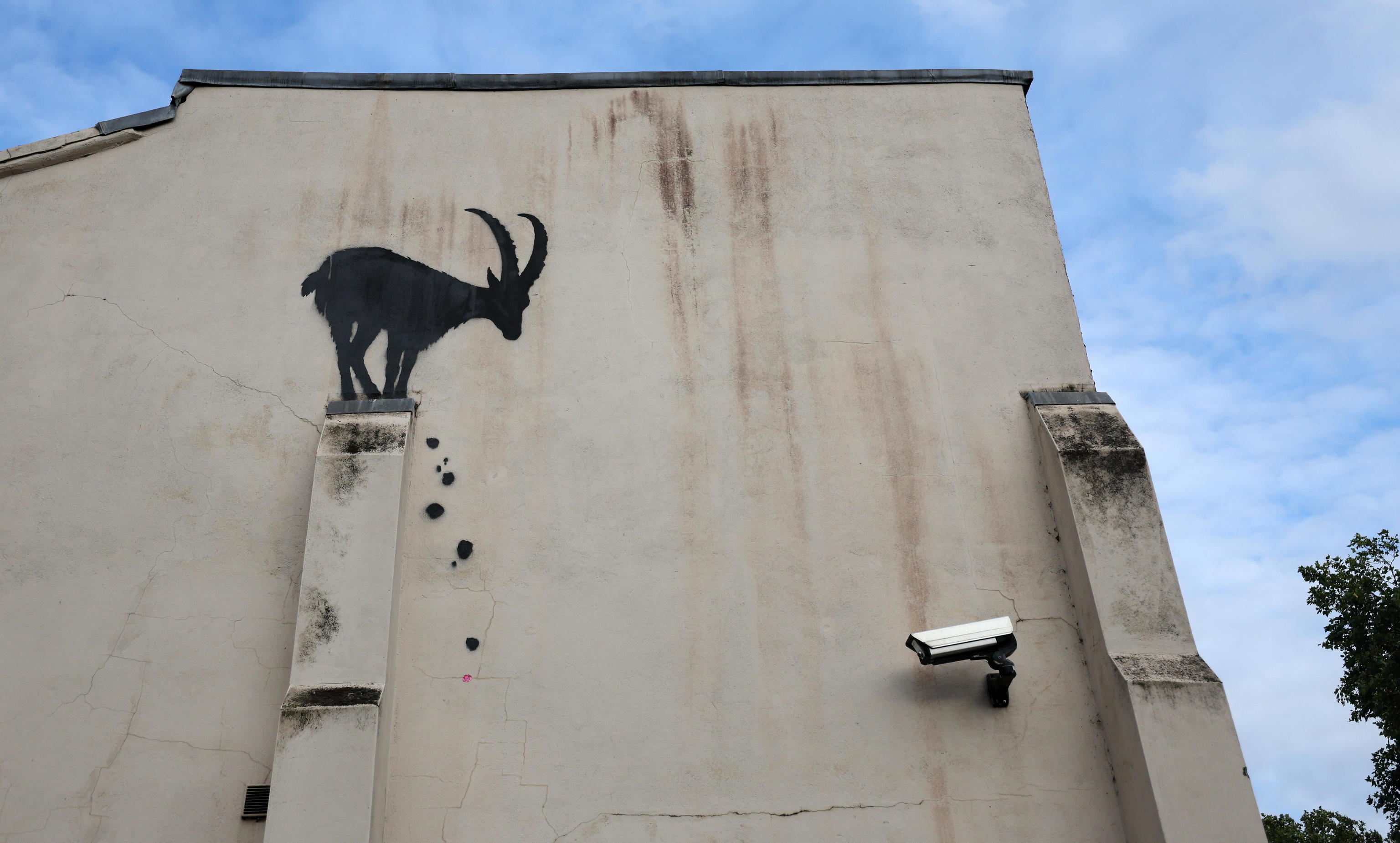 Banksy vuelve a Londres con dos obras de animales en menos de 48 horas | Arte