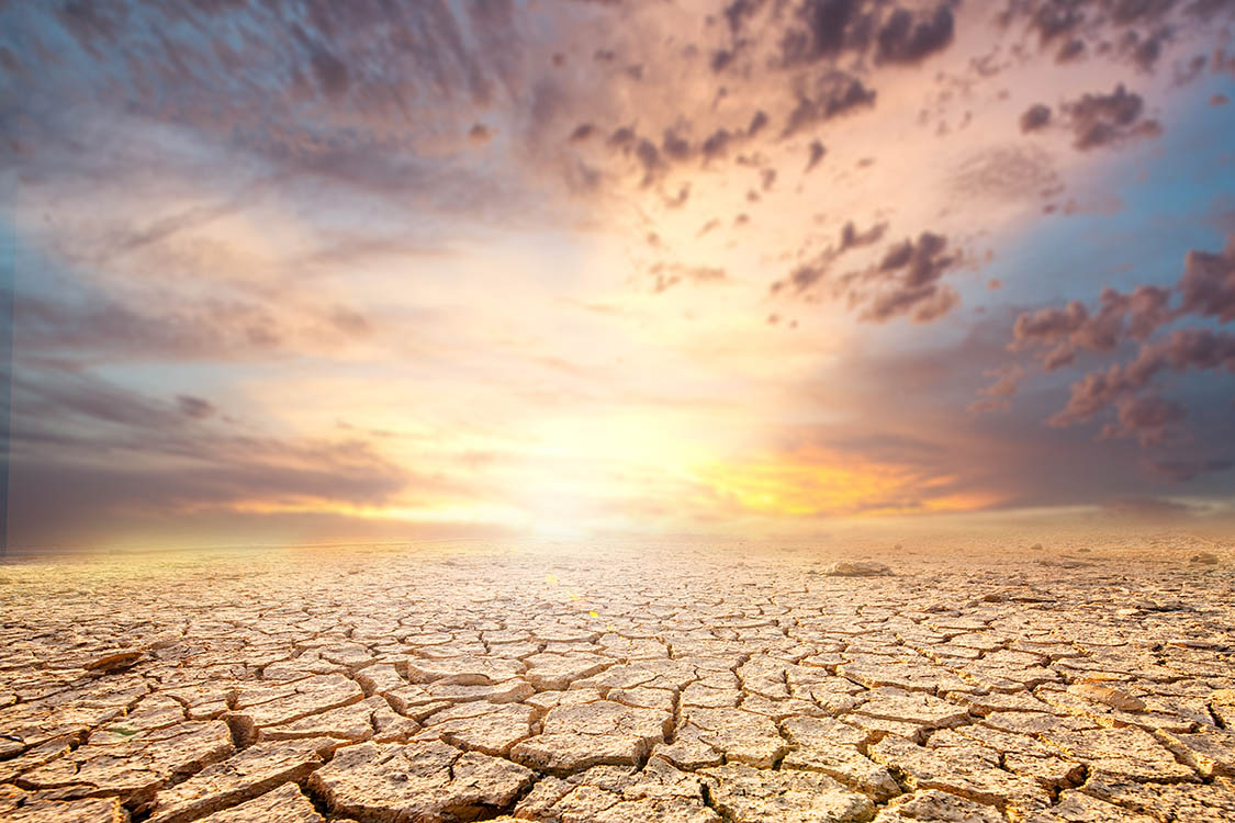 Crisis climática: ¿Seremos testigos o activistas?