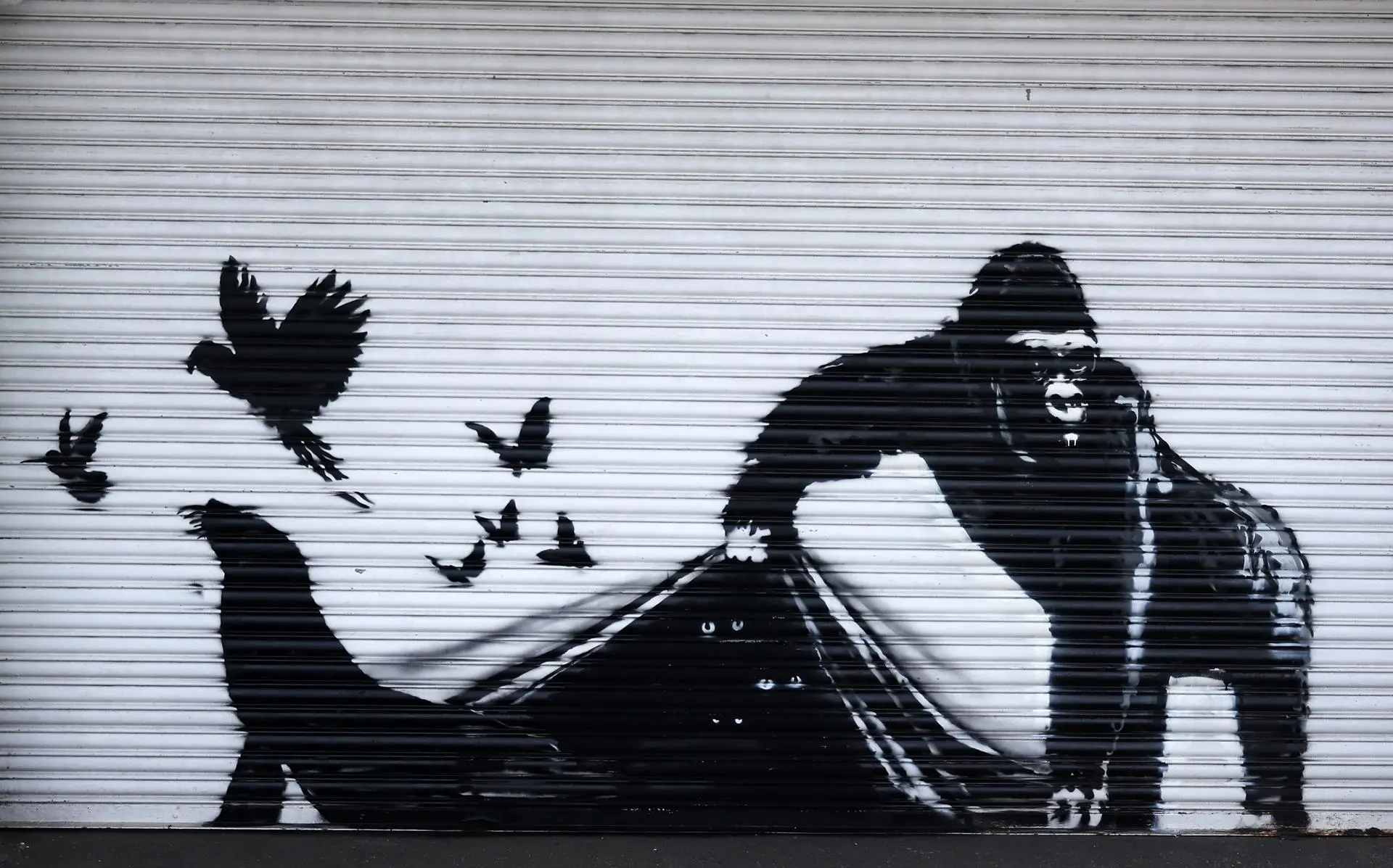 Banksy en el zoológico de Londres: El nuevo y sorpresivo recorrido artístico