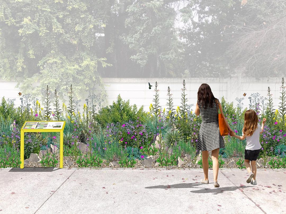 Vereda Nativa: comunitaria y biodiversa